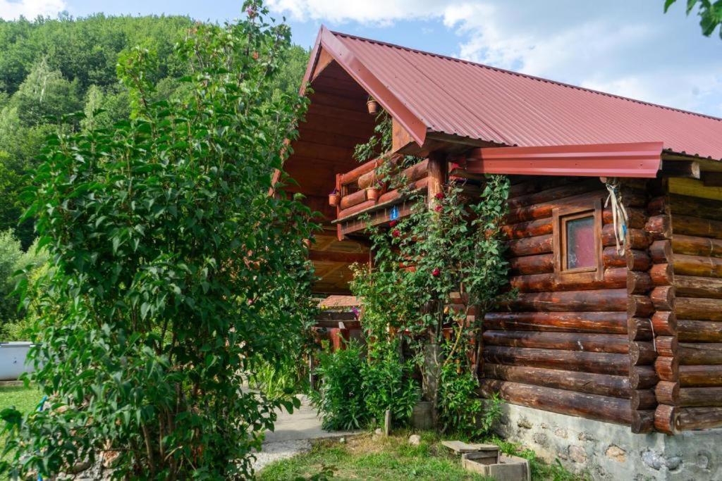 Plav Riverside Village Екстер'єр фото
