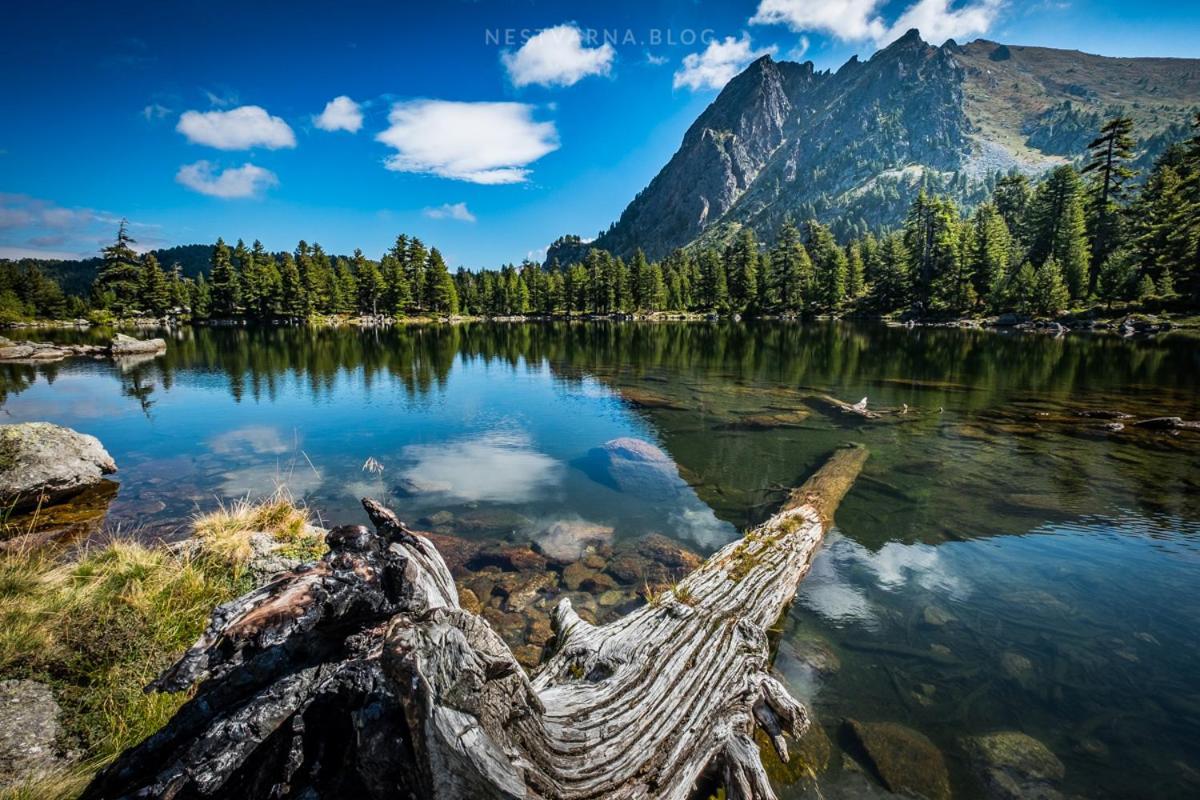 Plav Riverside Village Екстер'єр фото